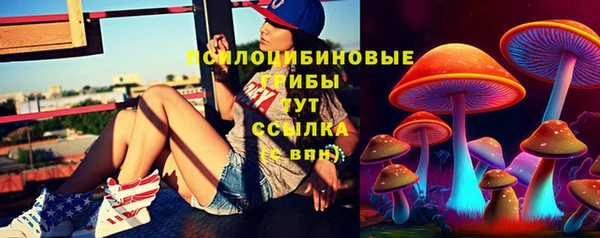 таблы Белокуриха