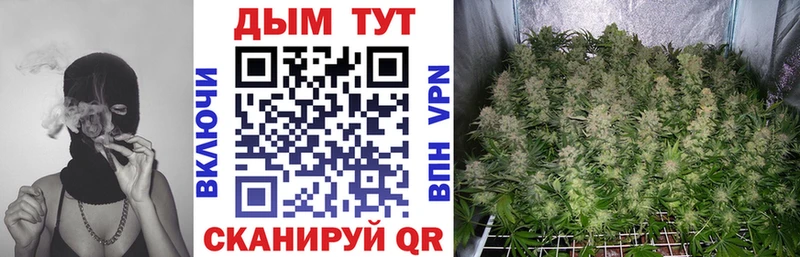 Купить где  Нерюнгри  Бошки Шишки VHQ 